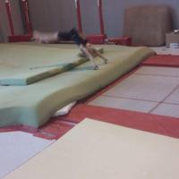 10552405_521601754674840_8264932445340403614_n