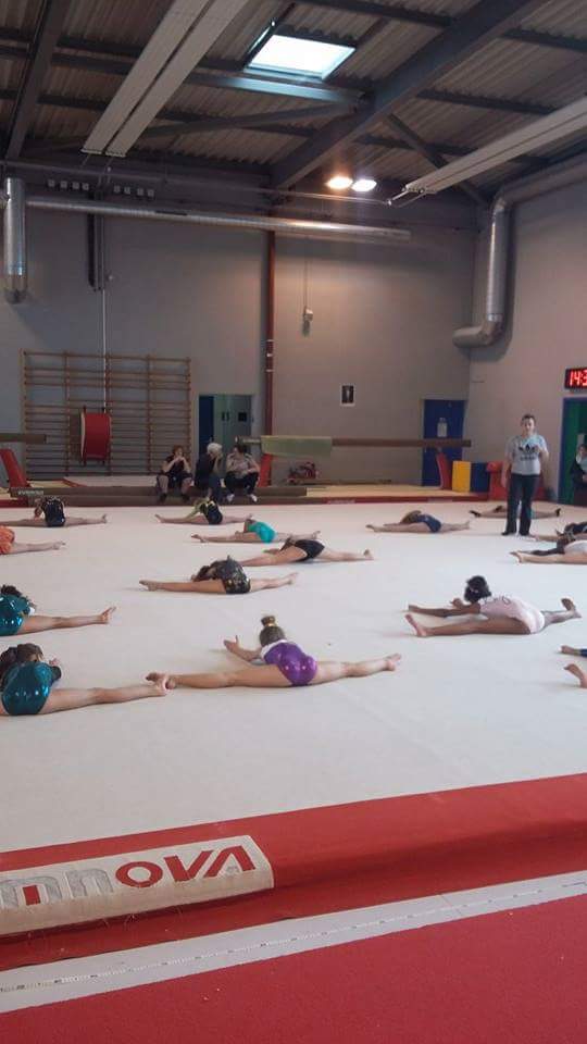 12107839_521601498008199_5852209252109413369_n