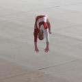Estelle Flip